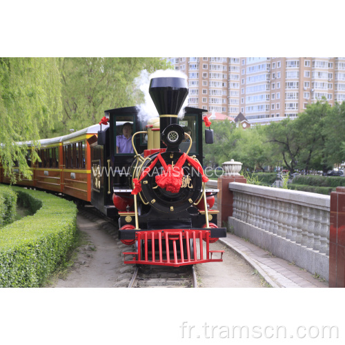 Train de piste de vapeur en plein air